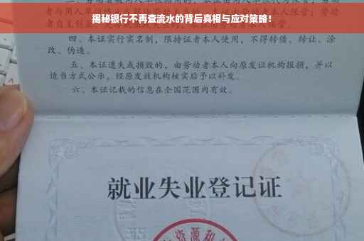 揭秘银行不再查流水的背后真相与应对策略！