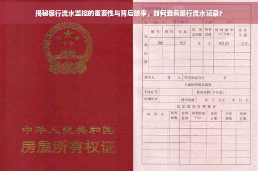 揭秘银行流水监控的重要性与背后故事，如何查看银行流水记录？