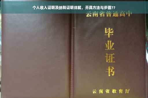 个人收入证明及纳税证明详解，开具方法与步骤??