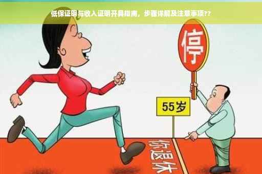 低保证明与收入证明开具指南，步骤详解及注意事项??