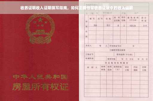 收养证明收入证明撰写指南，如何正确书写收养证明中的收入证明