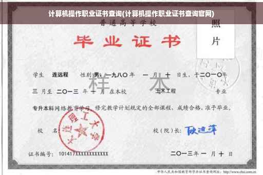 计算机操作职业证书查询(计算机操作职业证书查询官网)