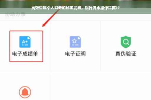 高效管理个人财务的秘密武器，银行流水操作指南??