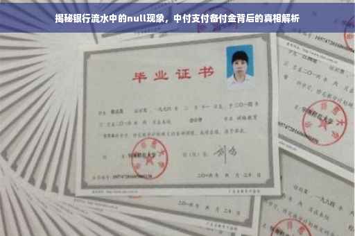 揭秘银行流水中的null现象，中付支付备付金背后的真相解析