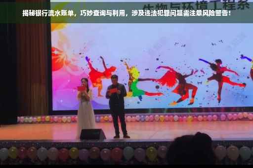 揭秘银行流水账单，巧妙查询与利用，涉及违法犯罪问题需注意风险警告！