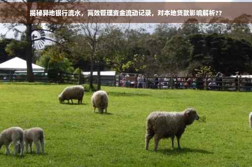 揭秘异地银行流水，高效管理资金流动记录，对本地贷款影响解析??