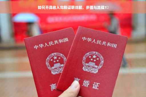 如何开具收入完税证明详解，步骤与流程?✨