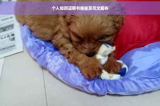 个人加班证明书模板及范文解析