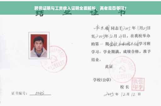 聘用证明与工资收入证明全面解析，两者是否等同？