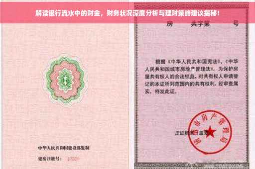 解读银行流水中的财金，财务状况深度分析与理财策略建议揭秘！