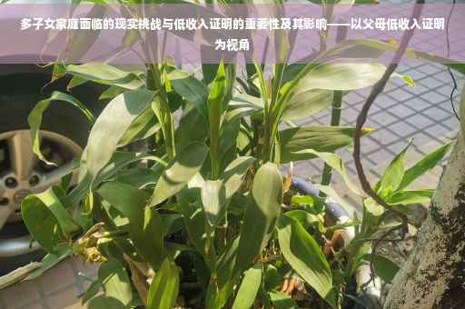 多子女家庭面临的现实挑战与低收入证明的重要性及其影响——以父母低收入证明为视角