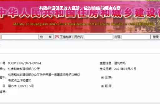 有陪护证明无收入证明，应对策略与解决方案