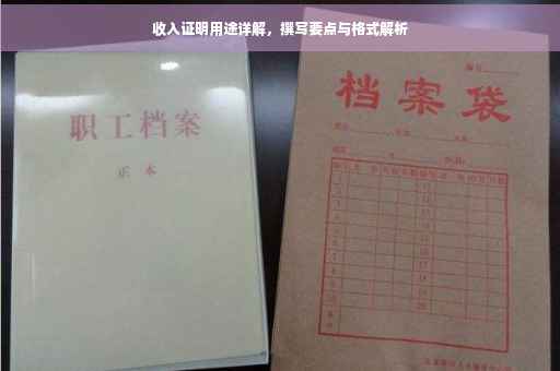 收入证明用途详解，撰写要点与格式解析