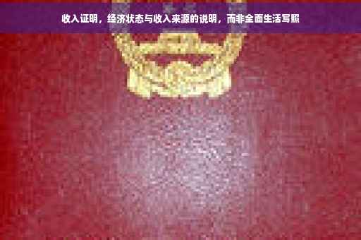 收入证明，经济状态与收入来源的说明，而非全面生活写照