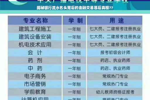 揭秘银行流水名头背后的金融交易幕后真相??