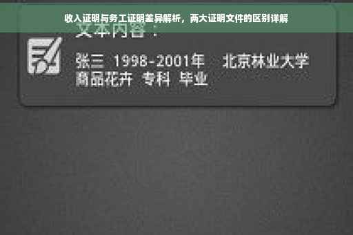 收入证明与务工证明差异解析，两大证明文件的区别详解