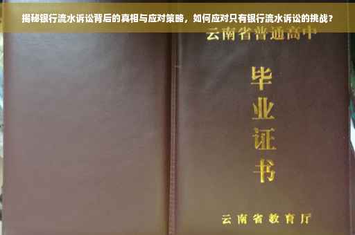 揭秘银行流水诉讼背后的真相与应对策略，如何应对只有银行流水诉讼的挑战？