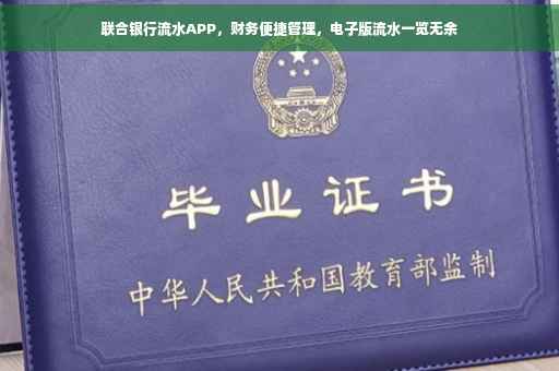 联合银行流水APP，财务便捷管理，电子版流水一览无余