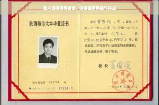 收入证明撰写指南，明确证明用途与格式