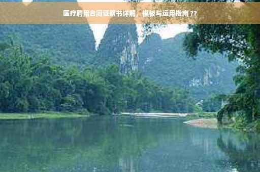 医疗聘用合同证明书详解，模板与运用指南 ??