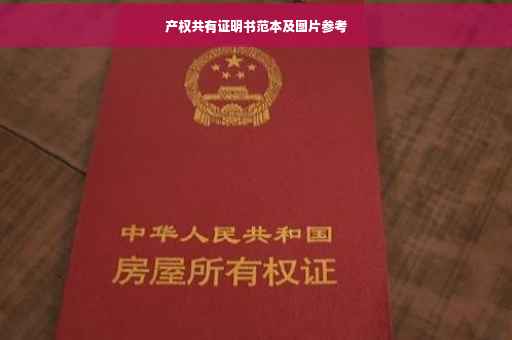 产权共有证明书范本及图片参考