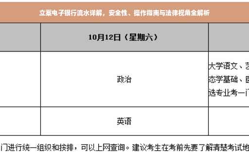 立案电子银行流水详解，安全性、操作指南与法律视角全解析