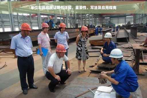 单位车辆权属证明书详解，重要性、写法及应用指南
