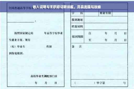 收入证明与无职称证明详解，开具流程与攻略