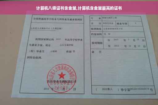 计算机八级证书含金量,计算机含金量最高的证书