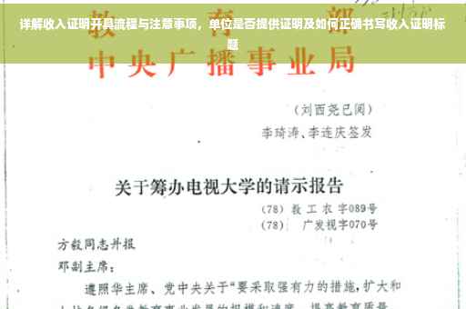 详解收入证明开具流程与注意事项，单位是否提供证明及如何正确书写收入证明标题