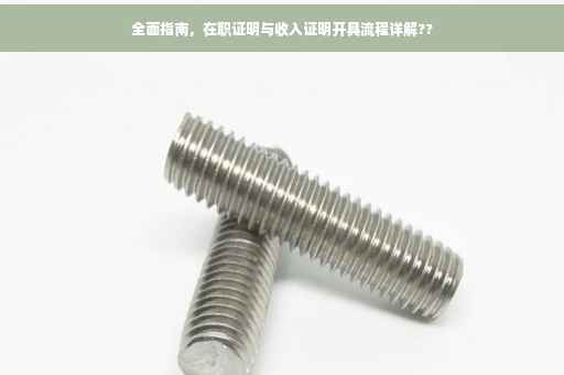 全面指南，在职证明与收入证明开具流程详解??