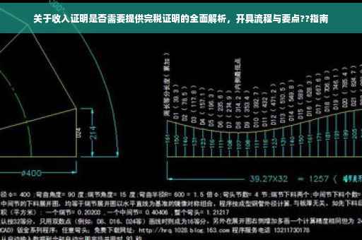 关于收入证明是否需要提供完税证明的全面解析，开具流程与要点??指南