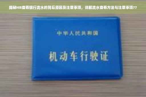 揭秘HR查看银行流水的背后原因及注意事项，详解流水查看方法与注意事项??
