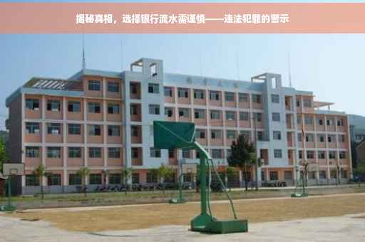 揭秘真相，选择银行流水需谨慎——违法犯罪的警示
