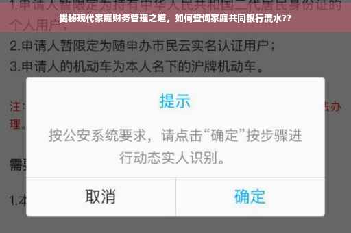 揭秘现代家庭财务管理之道，如何查询家庭共同银行流水??