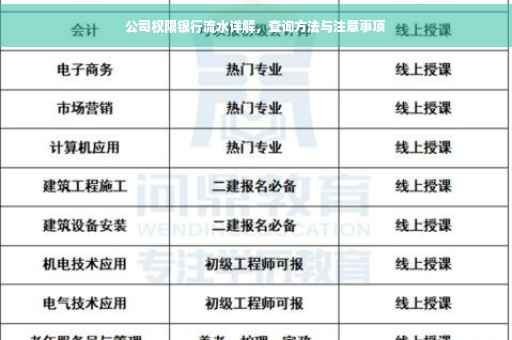 公司权限银行流水详解，查询方法与注意事项
