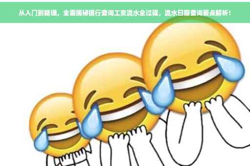 从入门到精通，全面揭秘银行查询工资流水全过程，流水日期查询要点解析！