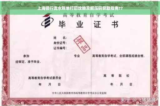 上海银行流水账单打印攻略及解压码获取指南??