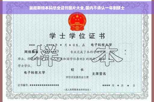 曼彻斯特本科毕业证书图片大全,国内不承认一年制硕士