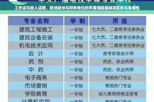 工作证与收入证明，职场身份与财务地位的双重保障揭秘其区别与重要性