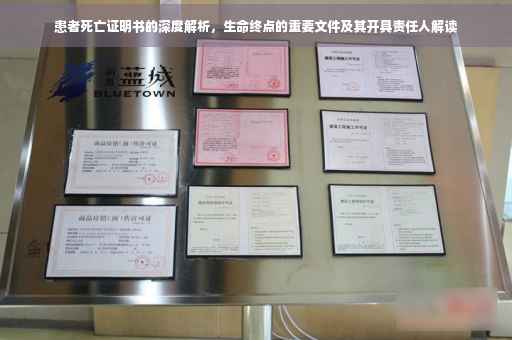 患者死亡证明书的深度解析，生命终点的重要文件及其开具责任人解读