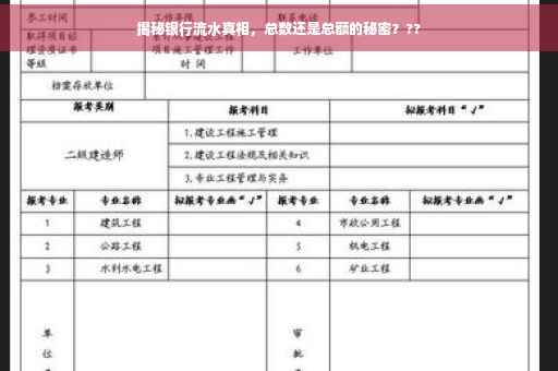 揭秘银行流水真相，总数还是总额的秘密？??