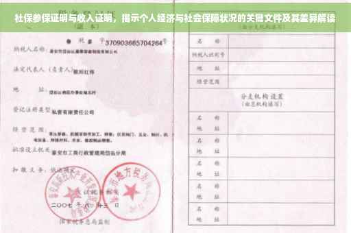 社保参保证明与收入证明，揭示个人经济与社会保障状况的关键文件及其差异解读