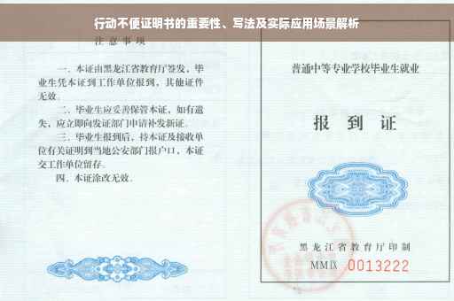 行动不便证明书的重要性、写法及实际应用场景解析