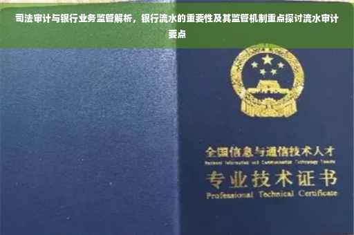 司法审计与银行业务监管解析，银行流水的重要性及其监管机制重点探讨流水审计要点
