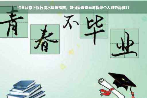 待业状态下银行流水管理指南，如何妥善查看与保障个人财务稳健??