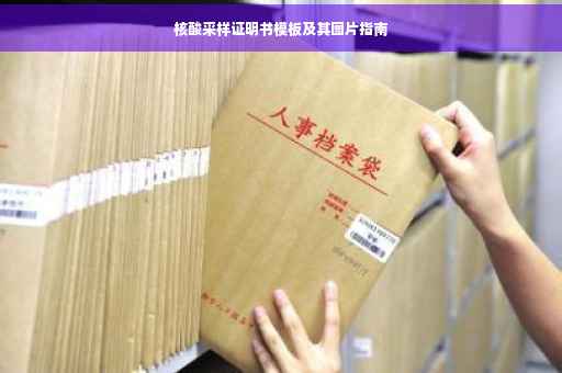 核酸采样证明书模板及其图片指南