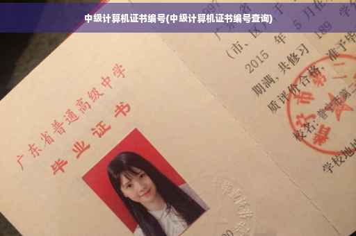 中级计算机证书编号(中级计算机证书编号查询) 中级计算机证书编号(中级计算机证书编号查询)