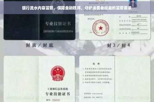 银行流水内容监管，保障金融秩序，守护消费者权益的监管要求