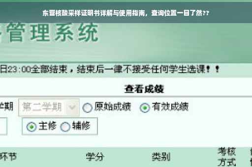 东营核酸采样证明书详解与使用指南，查询位置一目了然??